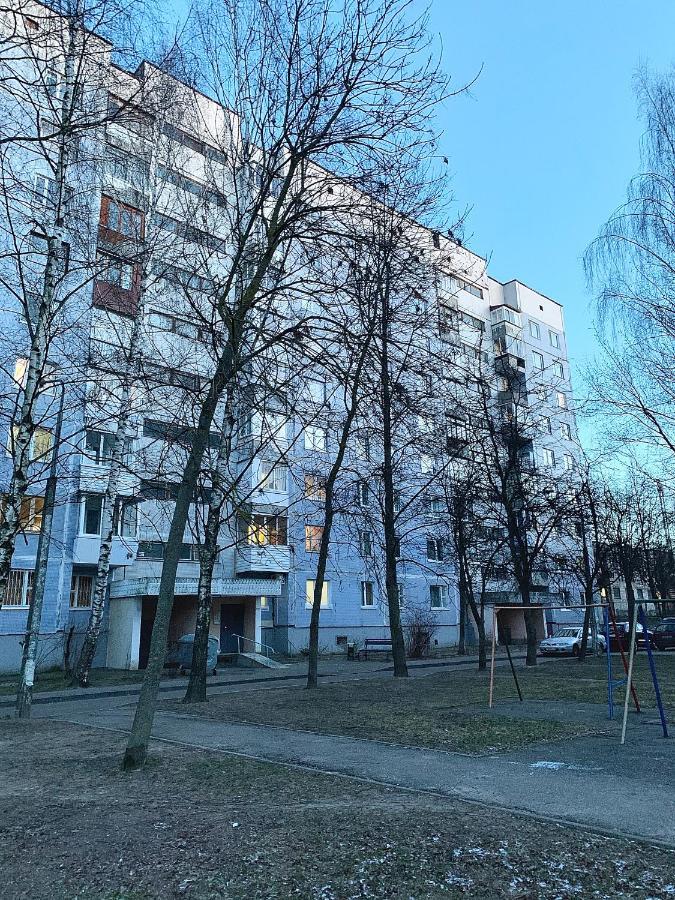 Gray Apartment Pobedy 21 Vitebsk Exterior foto